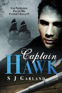 Captain Hawk