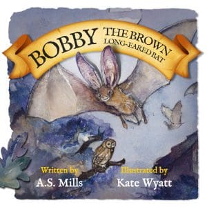 Bobby The Brown Long-Eared Bat