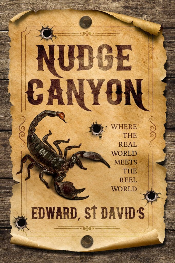 Nudge Canyon by Edward, St David’s