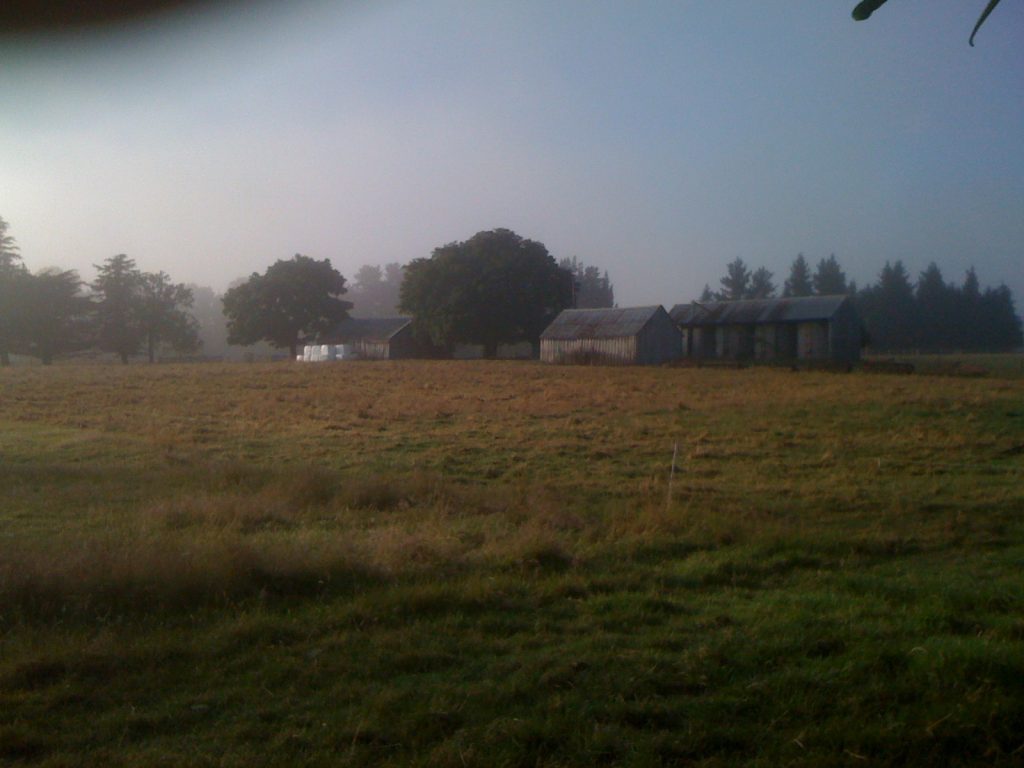 Farm buildings early morn Farm buildings early morn