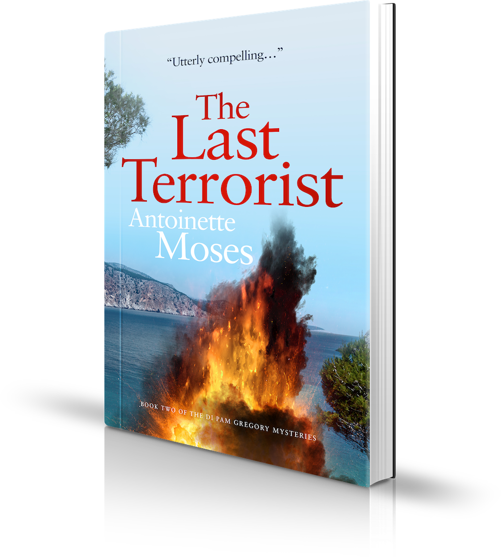 The Last Terrorist by Antoinette Moses