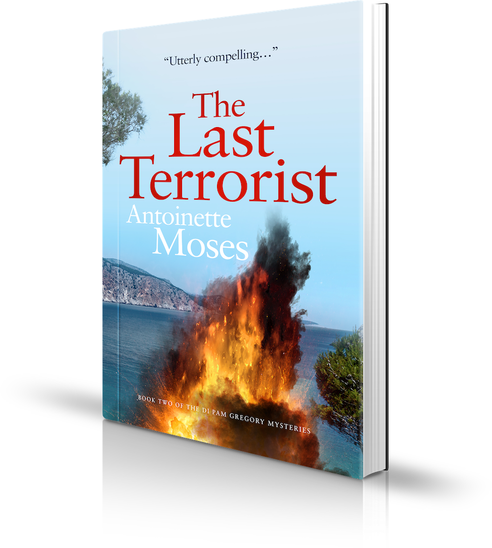The Last Terrorist by Antoinette Moses The Last Terrorist by Antoinette Moses