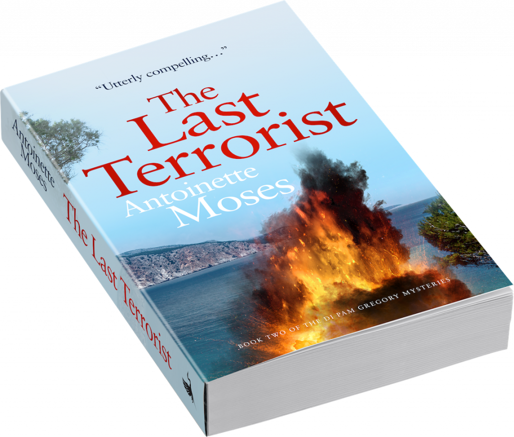 The Last Terrorist Book by Antoinette Moses